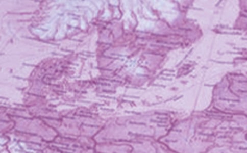 ����������ѧ�����ܽἯ��15ƪ