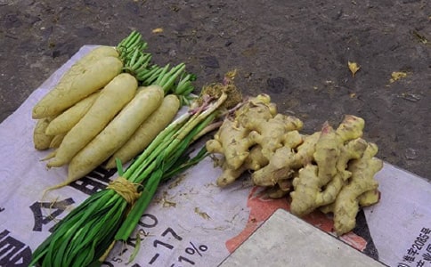 �ҵĵ�һ�δ�ҵ���ŵ�̯����Ͳ