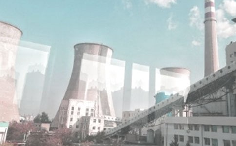 �糧����רҵ�����ܽ�����