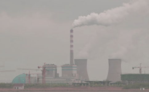 �糧�����ĵ����