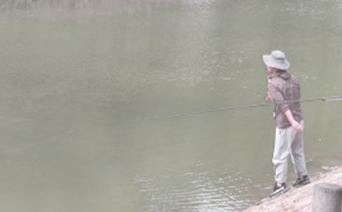 ���������ʾ�������