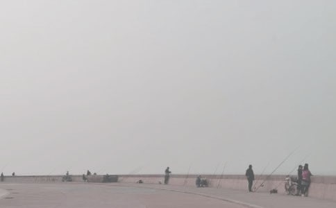 �����ĵ����13ƪ