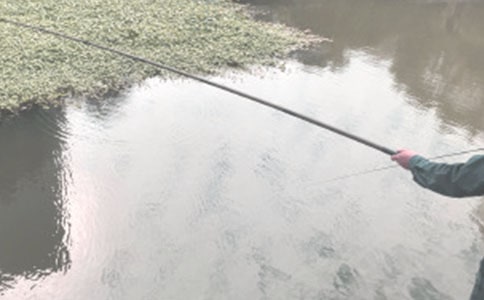 ��������߻��飨��ѡ12ƪ��