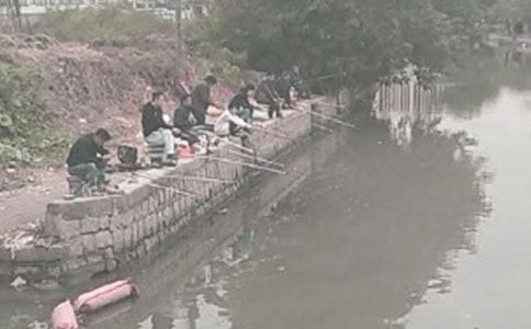 ���������ܽ�