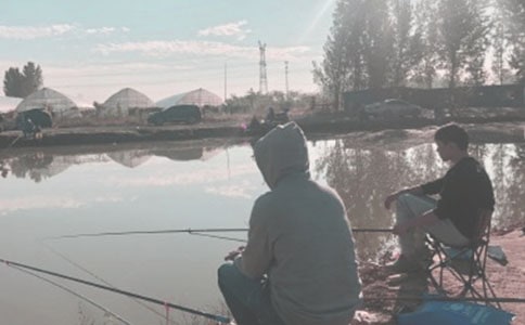 �����ĵ����