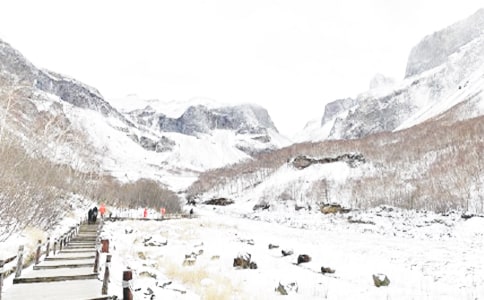 �����ʺ���