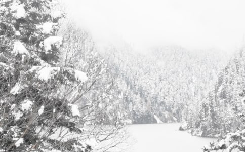 �ۿ����������а»��ĵ����