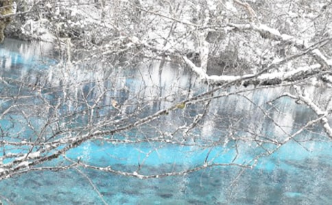 �����ĵ����ͨ��