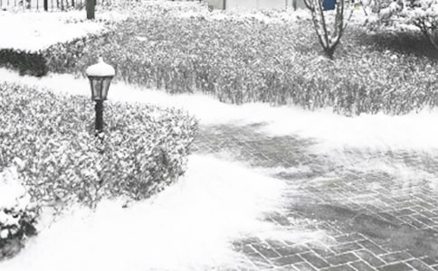 ����ף�����ȫ