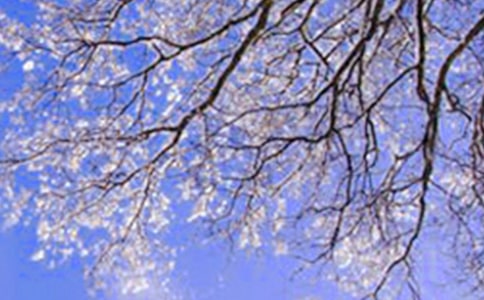 �����ʺ���15ƪ