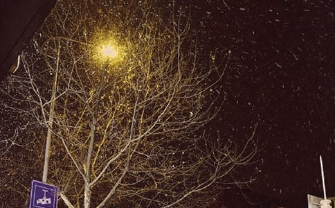 �����ʺ������15ƪ��