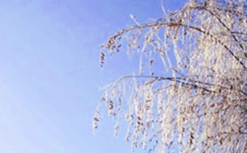 �����ϵĶ��졷�����