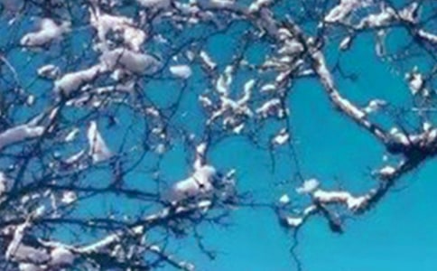 ���������������Ĺ˿��ʺ���