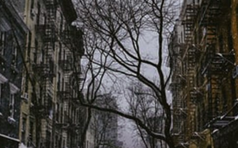 ����ף����