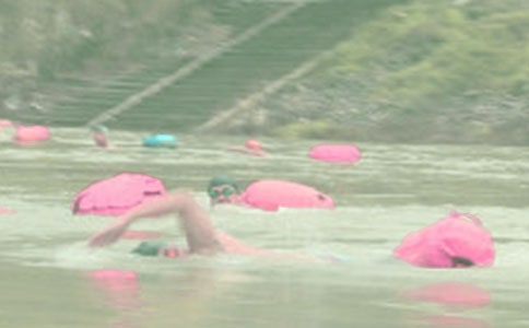 �����ж�ӾЭ�Ṥ���ܽ�