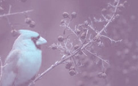 ����Ұ����ֲ���ջ�ܽ�