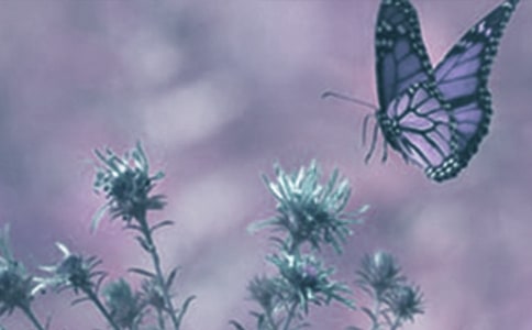 ������ϡ��ֲ�ﳫ���鷶��400��3ƪ