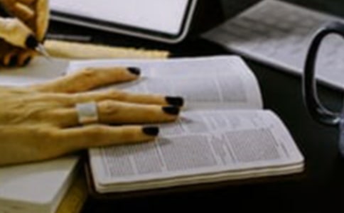 ����С�š������