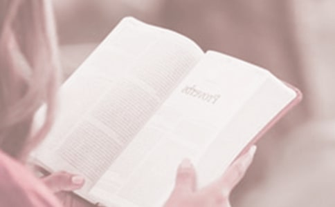 �����ջ������