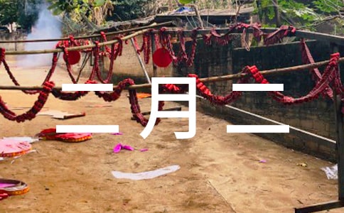 ���¶��¶���ף����