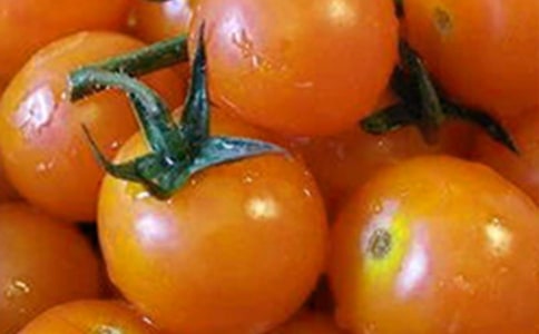 ������̫���������