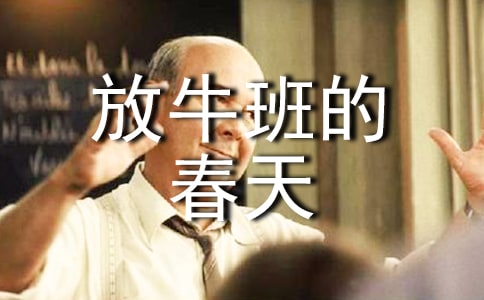 ��ţ��Ĵ���ۺ��