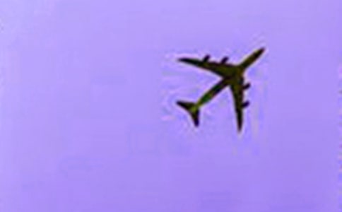 ���ɻ��ĵ����