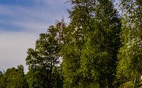 ����羰��Э����