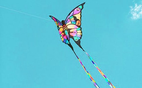 ���ݽڷŷ��ݱ����߻���