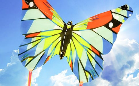 ���ŷ����룬ӵ�����족������ݴ����߻���