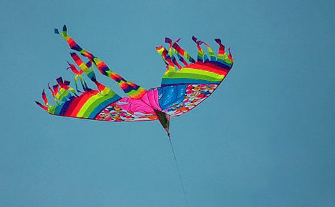 Сѧ���ݽڻ�ܽ�