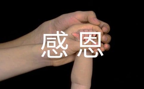 �ж����Ĺ����ܽ�