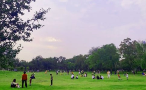 ���ι�԰ʵϰ����