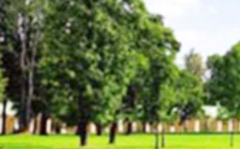 ��԰��߻�����