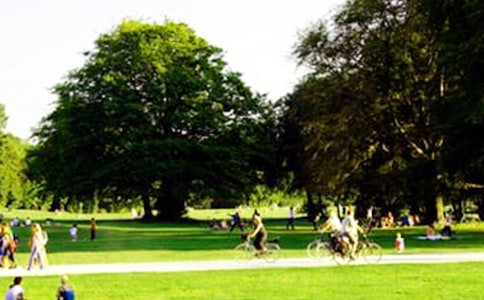 ��٪�޼͹�԰���ۺ��