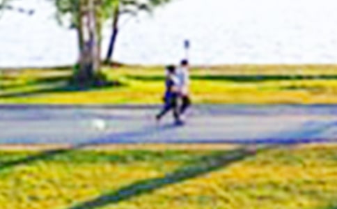 ��԰������