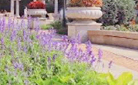 ������԰������