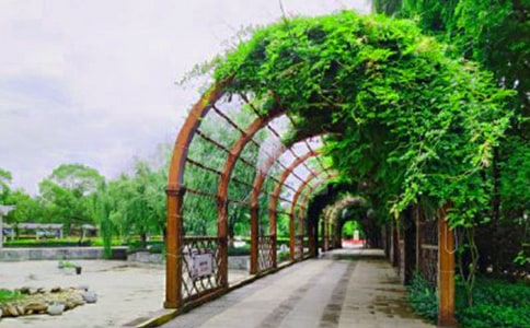 ���Ϻ���԰�ĵ����