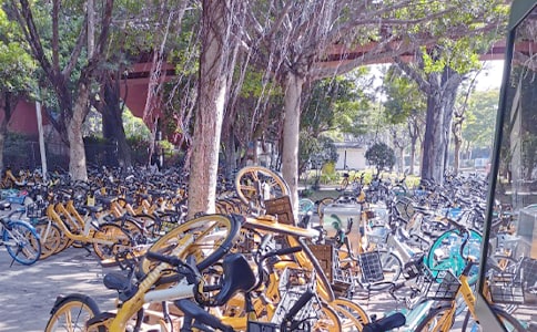 ����ͣ��������������