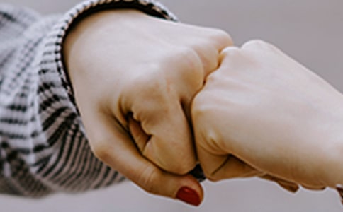 �������������ݽ���