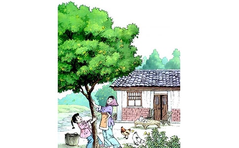 �����ĵ����