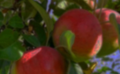 ��԰�а�Э���鷶�� ��԰�а�Э�����ȫ