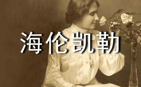 ���׿��ն����