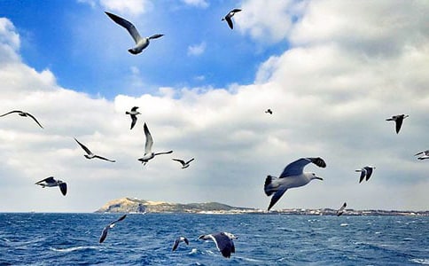 ����Ÿ����ɭ�������[�ϼ�]