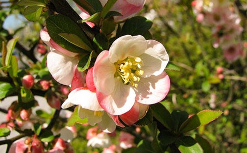 ���㺣�ľ�����¼