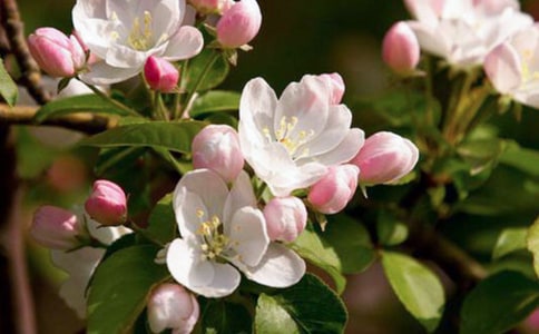 ���㺣����¼