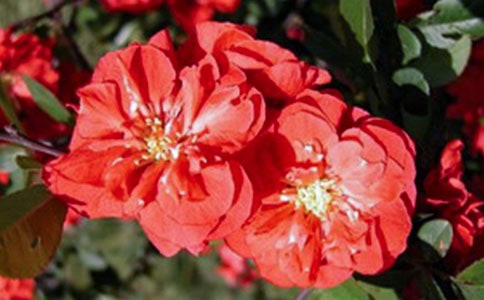 ���㺣�Ĺۺ���ĵ�