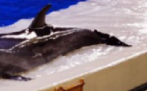 ����ɫ�ĺ��ൺ���������ѡ(15ƪ)