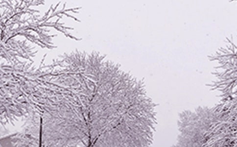 �����������������ܽ�