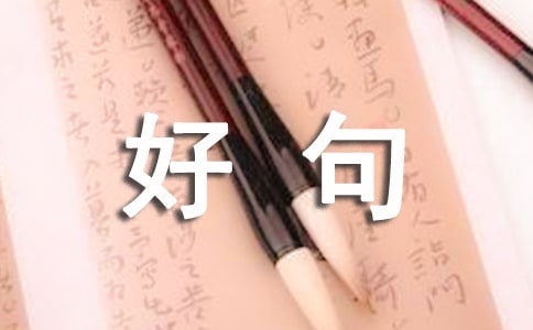 ��������2025����������ĺþ����60��